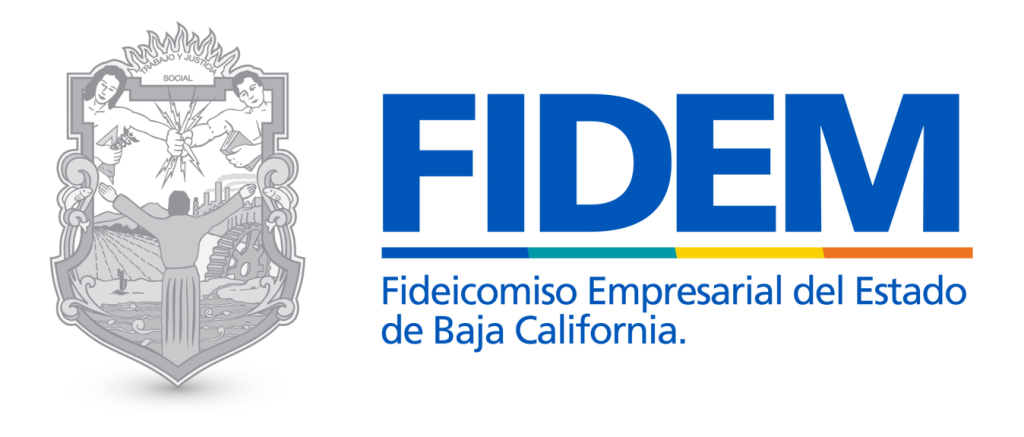 FIDEM1